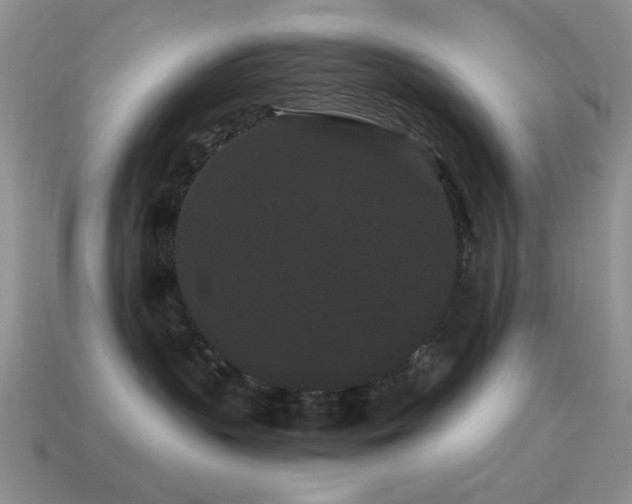 X0000114520383200910191200