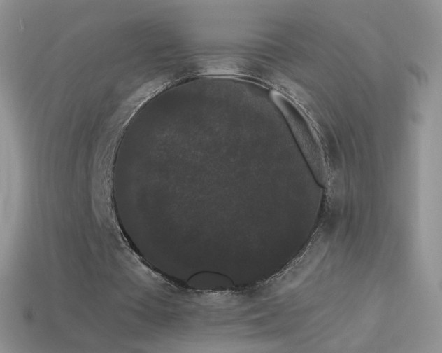 X0000114520385200910191159