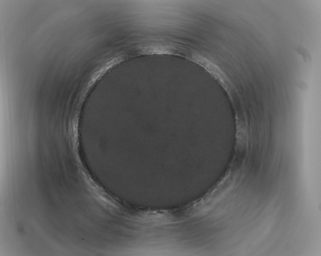 X0000114520386200910191159