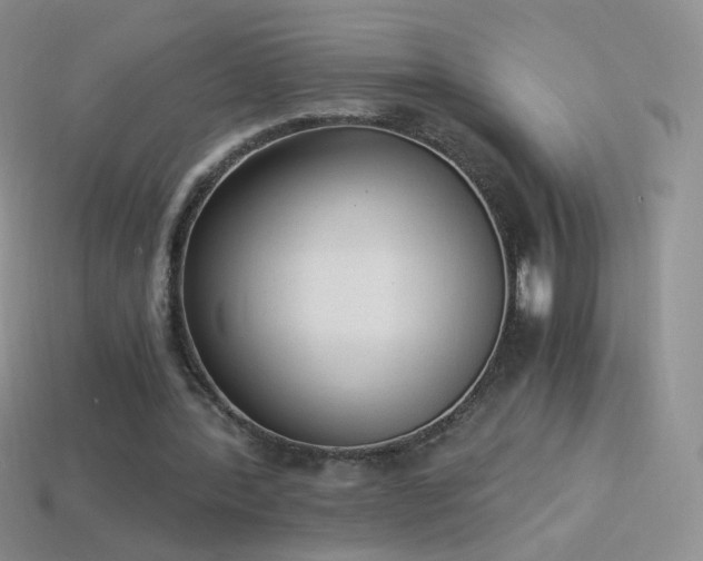 X0000114520388200910191159