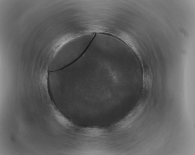 X0000114520389200910191159