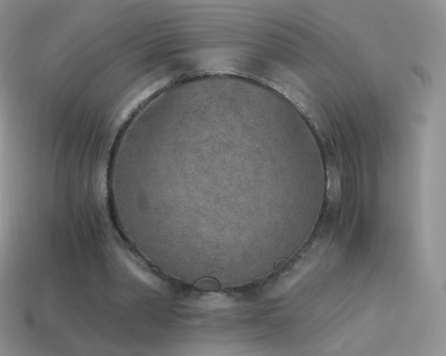 X0000114520390200910191159