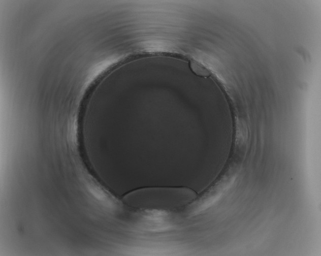 X0000114520391200910191159