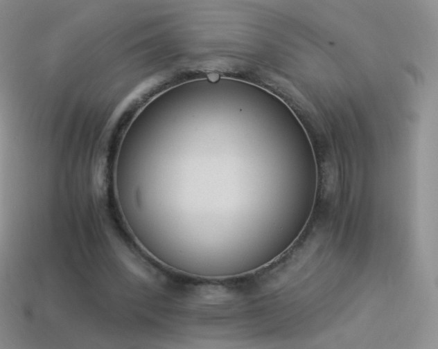 X0000114520392200910191159