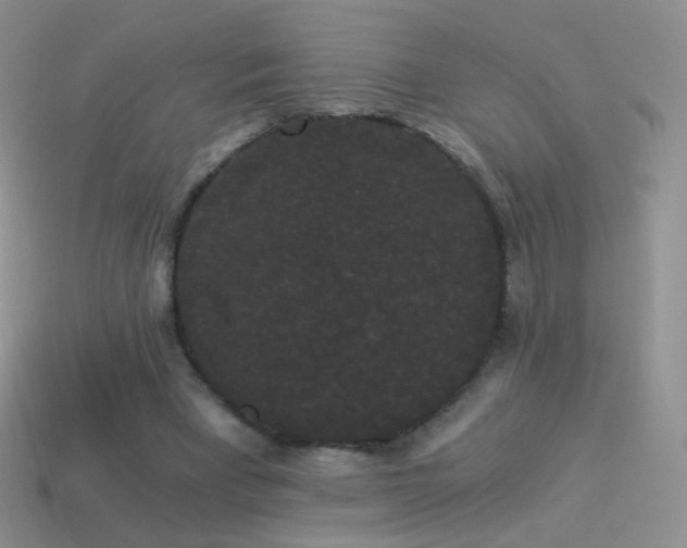 X0000114520393200910191159