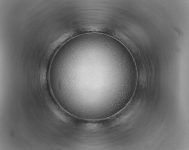 X0000114520394200910191159