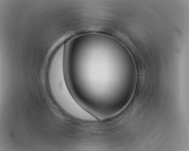 X0000114520395200910191159