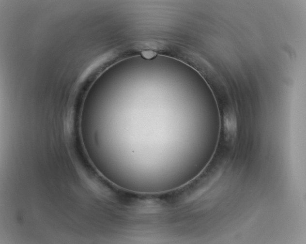 X0000114520396200910191159