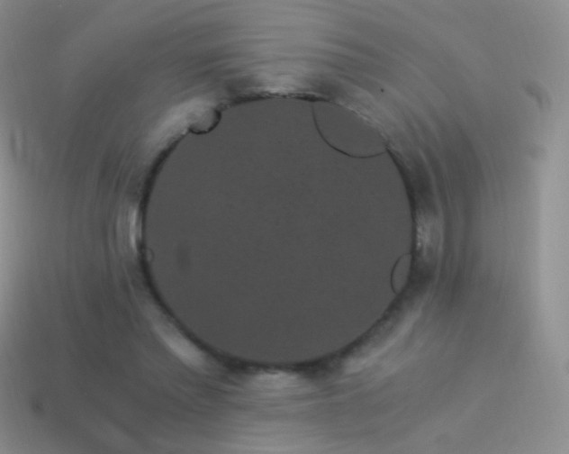 X0000114520397200910191159