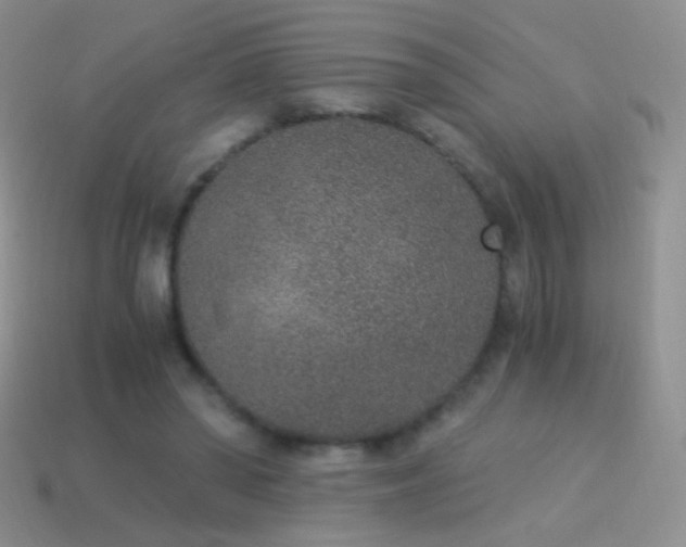 X0000114520398200910191159