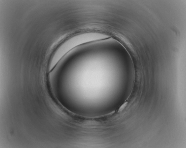 X0000114520399200910191159