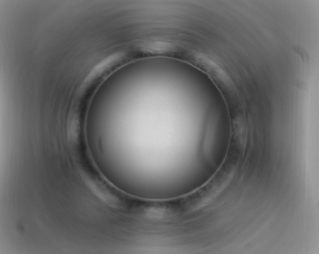 X0000114520400200910191159