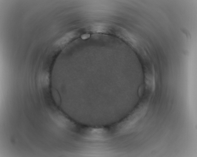 X0000114520401200910191159