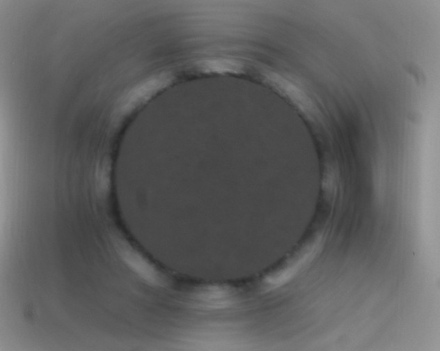 X0000114520402200910191159