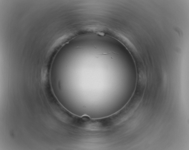 X0000114520403200910191159