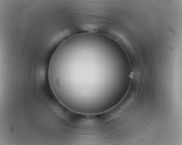 X0000114520404200910191159