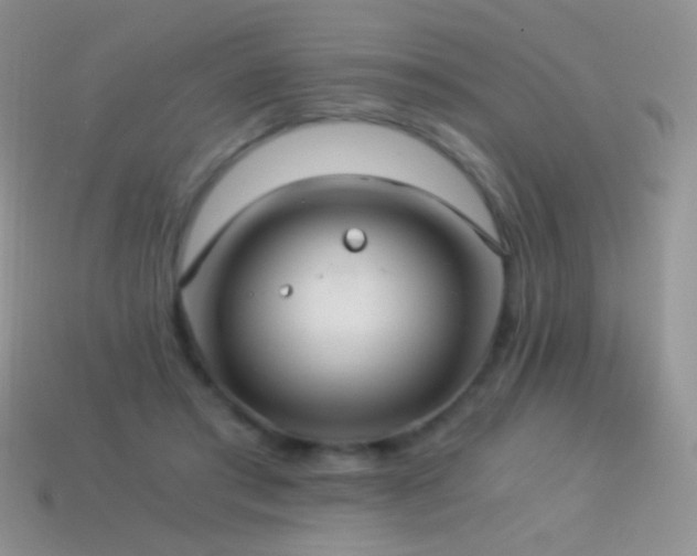 X0000114520405200910191159