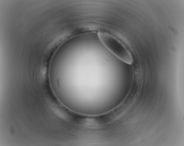 X0000114520406200910191159