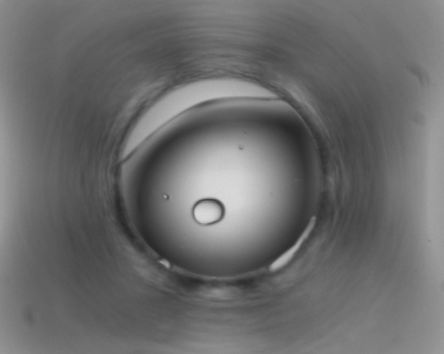 X0000114520407200910191159