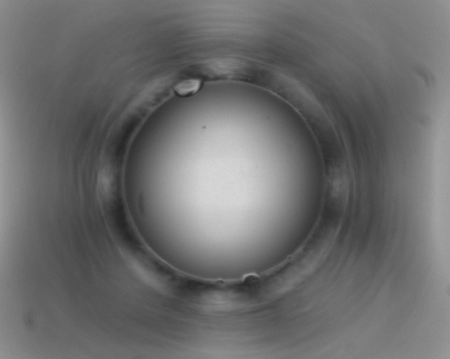 X0000114520408200910191159