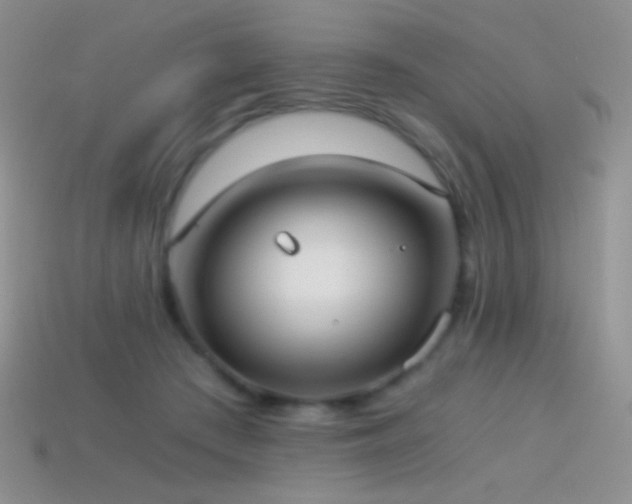 X0000114520409200910191159