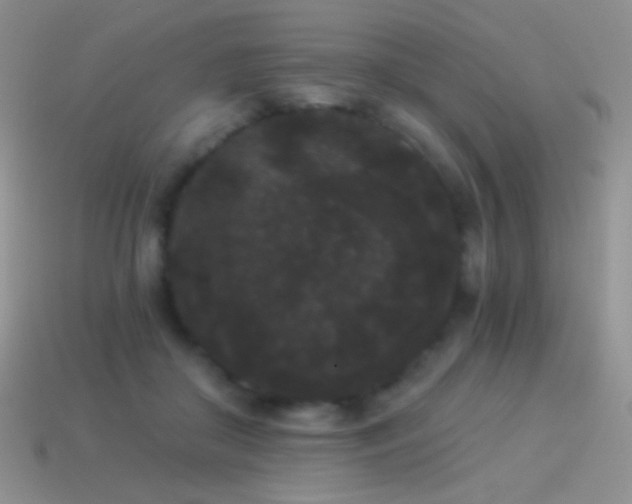 X0000114520410200910191159