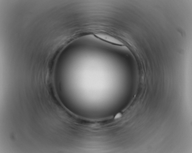 X0000114520411200910191159