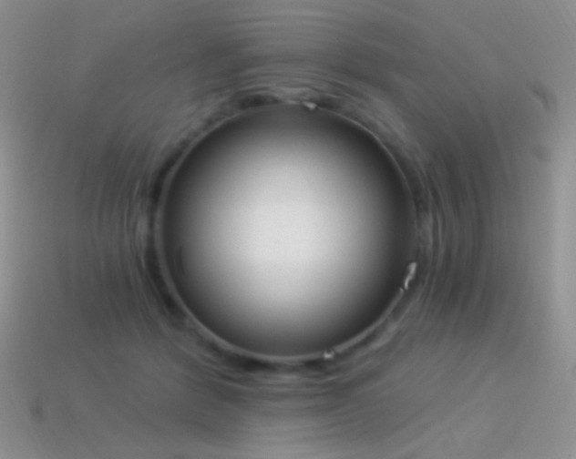 X0000114520412200910191159