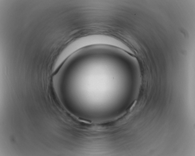 X0000114520413200910191159