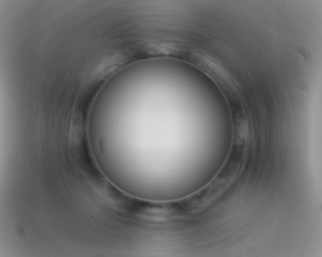 X0000114520414200910191159