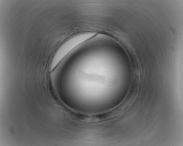 X0000114520415200910191159