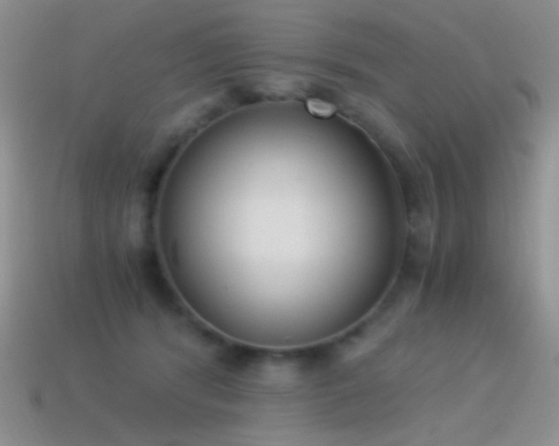 X0000114520416200910191159