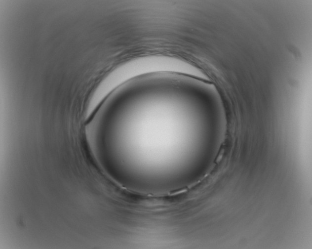 X0000114520417200910191159