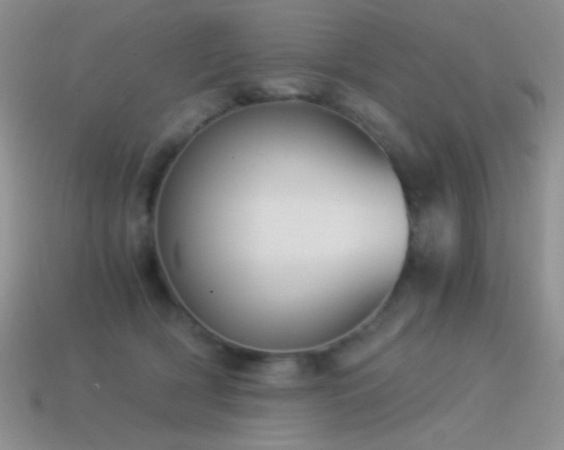 X0000114520418200910191159