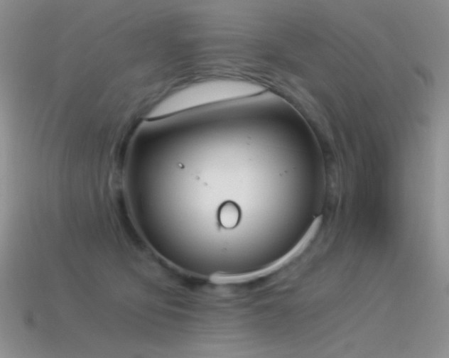 X0000114520419200910191159