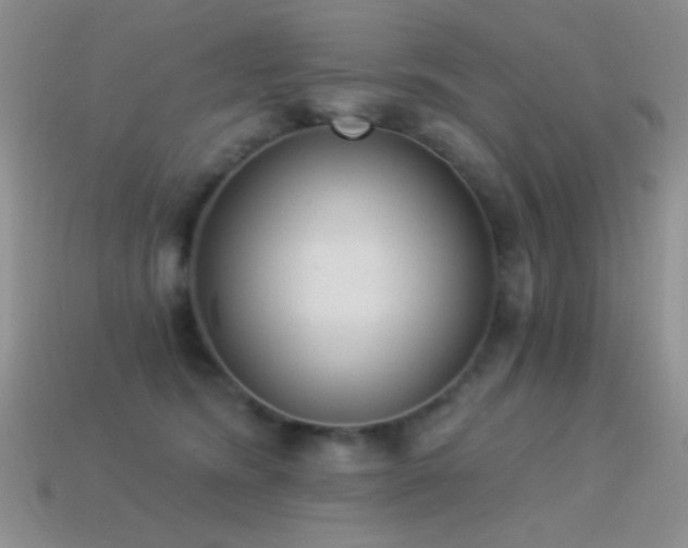 X0000114520420200910191159