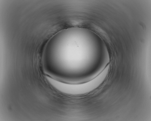 X0000114520421200910191159