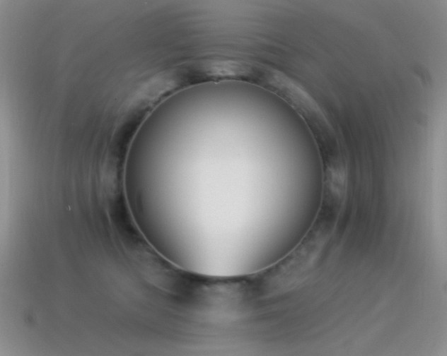 X0000114520422200910191159