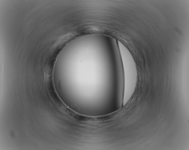 X0000114520423200910191159