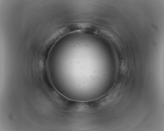 X0000114520424200910191159