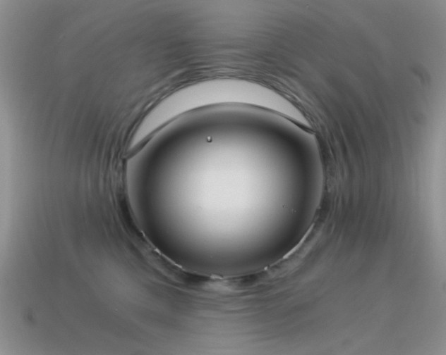 X0000114520425200910191159