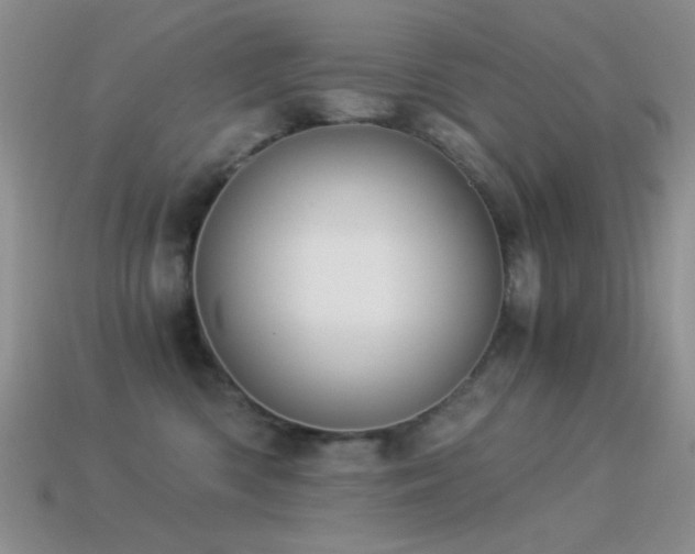 X0000114520426200910191159