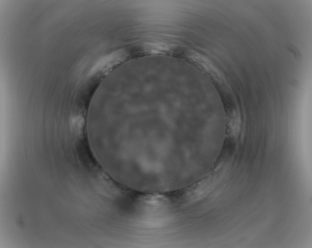 X0000114520427200910191159