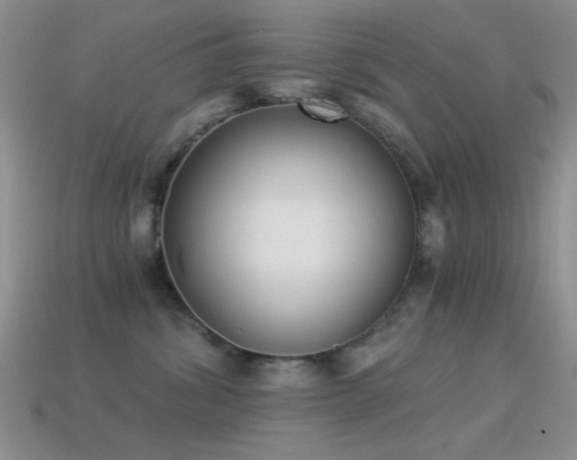 X0000114520428200910191159