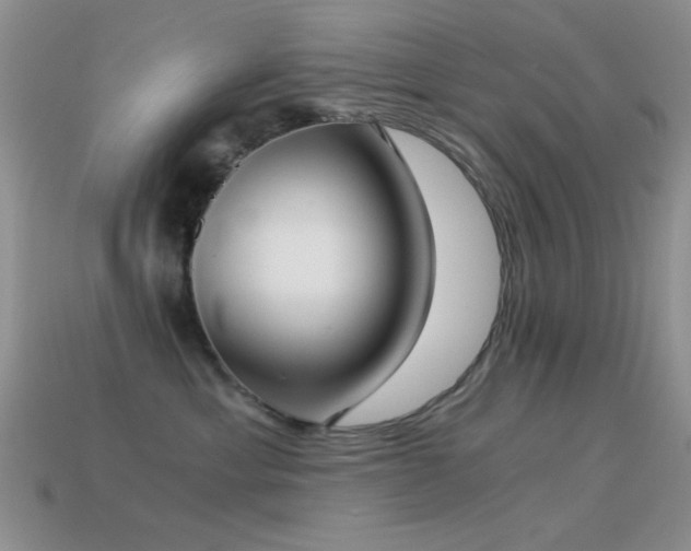 X0000114520429200910191159