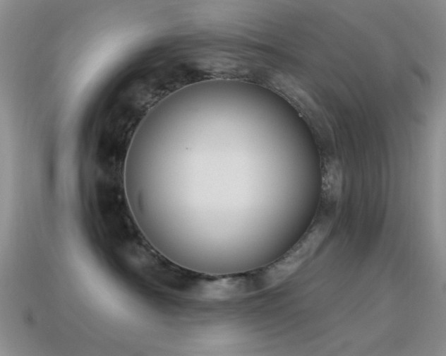 X0000114520430200910191159