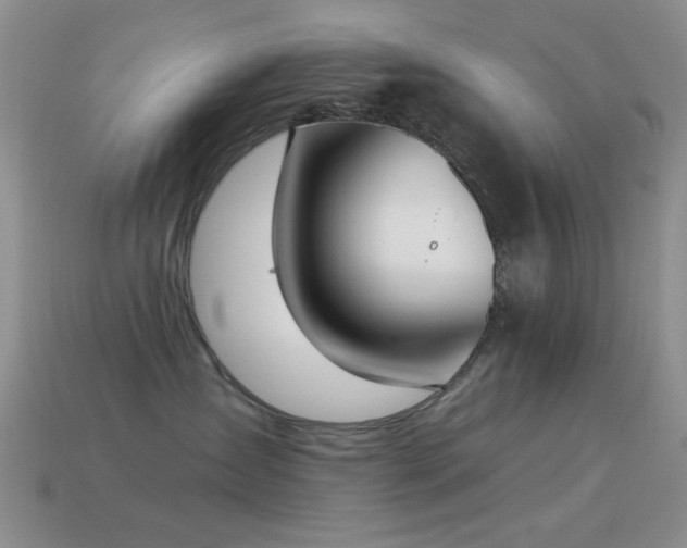 X0000114520431200910191159