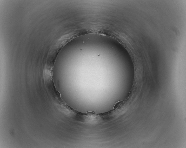 X0000114520432200910191159