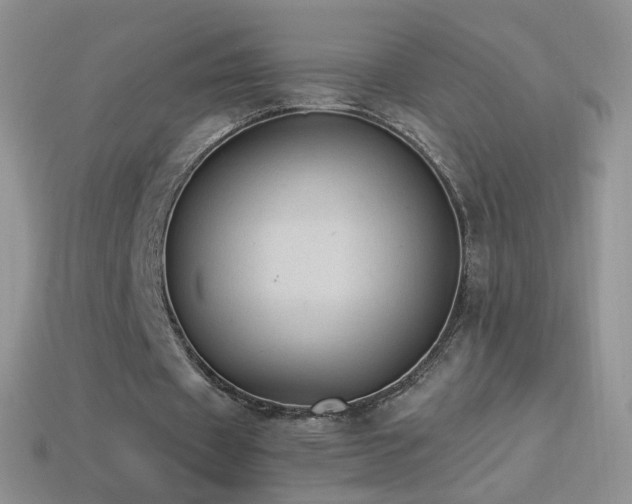 X0000114520433200910191158