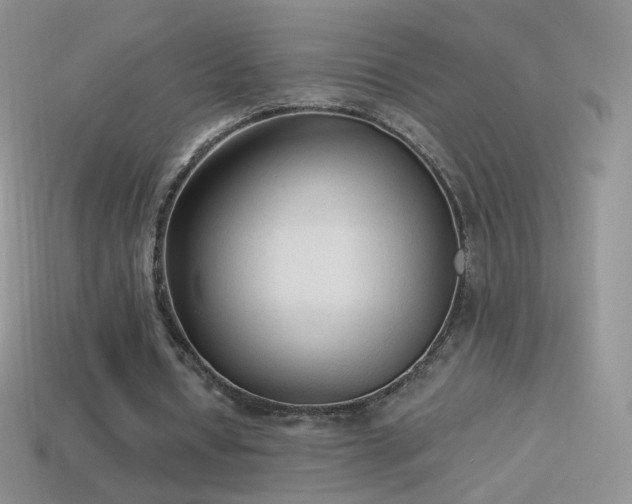 X0000114520434200910191158